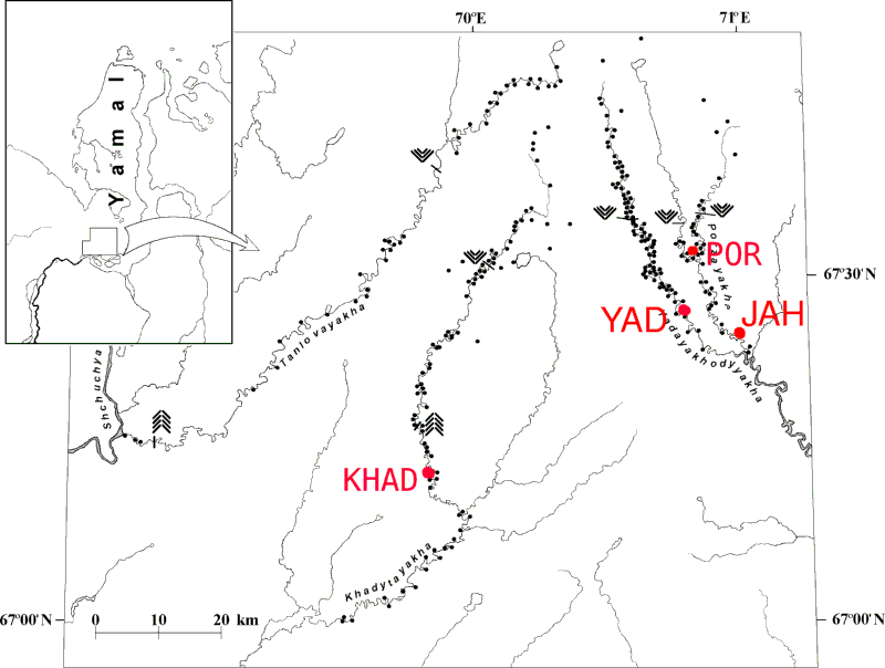 Location map showing Yamal chronology sample sites
