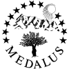 medalus logo